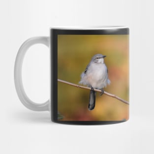 Mockingbird perched Mug